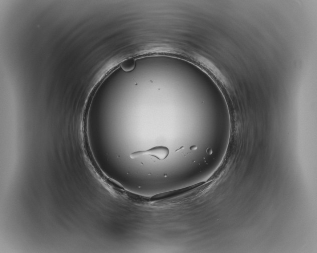 X0000116261282200911301146