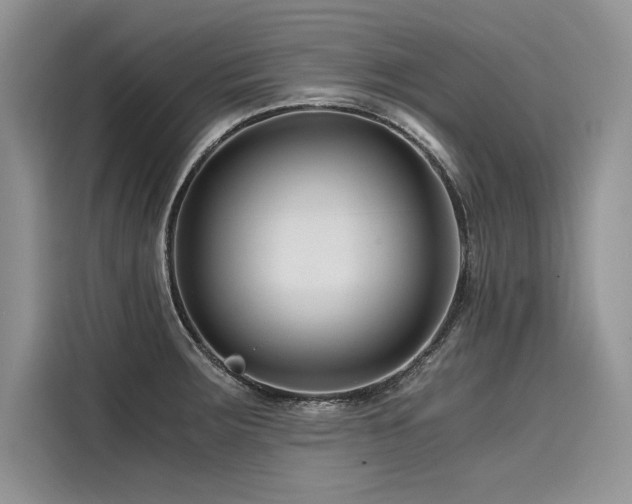 X0000116261283200911301146