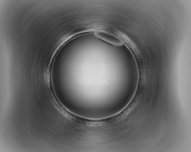 X0000116261284200911301146
