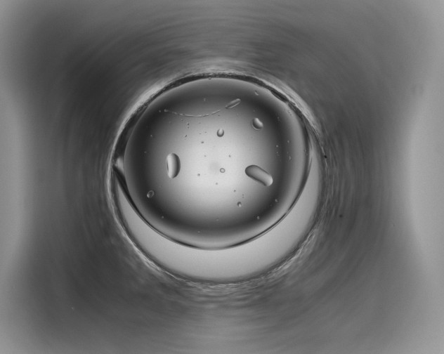 X0000116261285200911301146