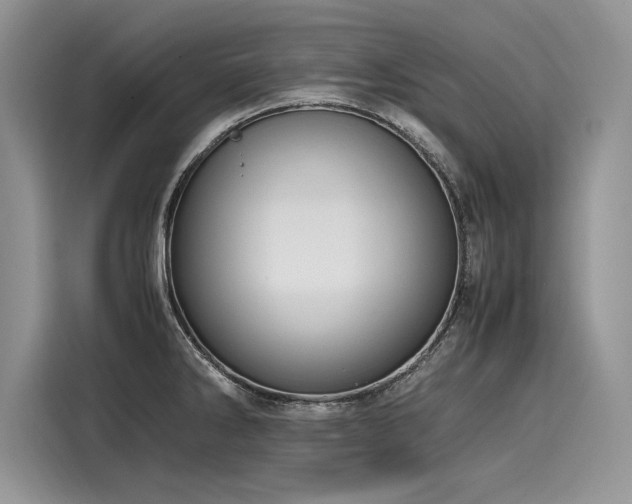 X0000116261286200911301146
