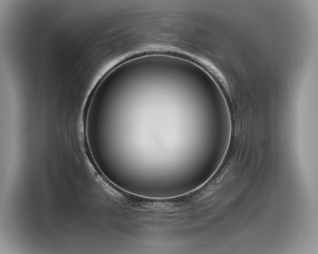 X0000116261287200911301146