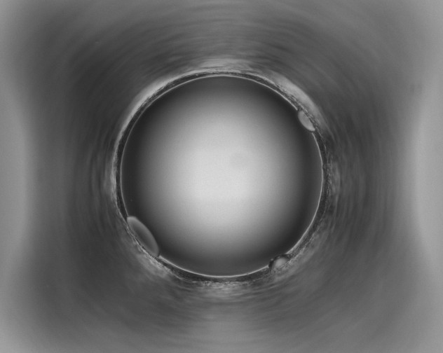 X0000116261288200911301146
