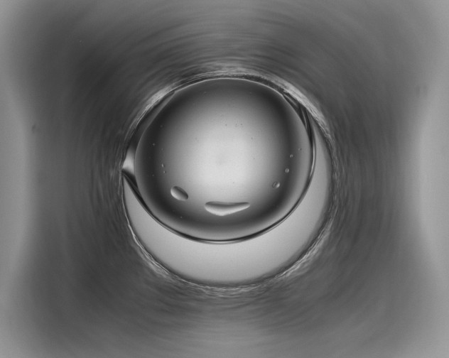 X0000116261289200911301146