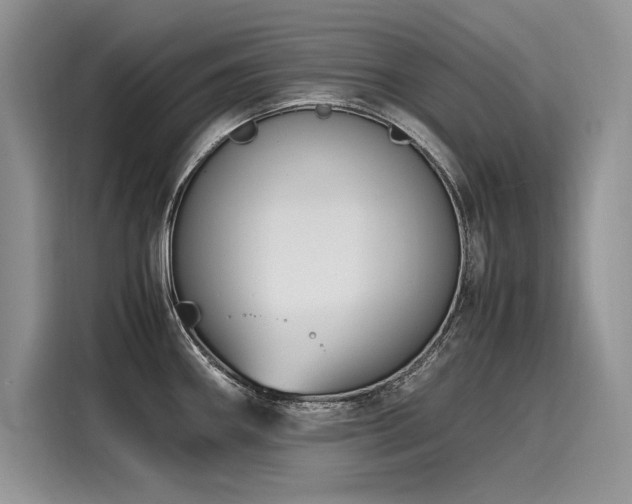 X0000116261290200911301146