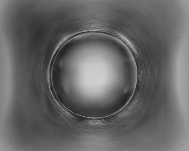 X0000116261291200911301145