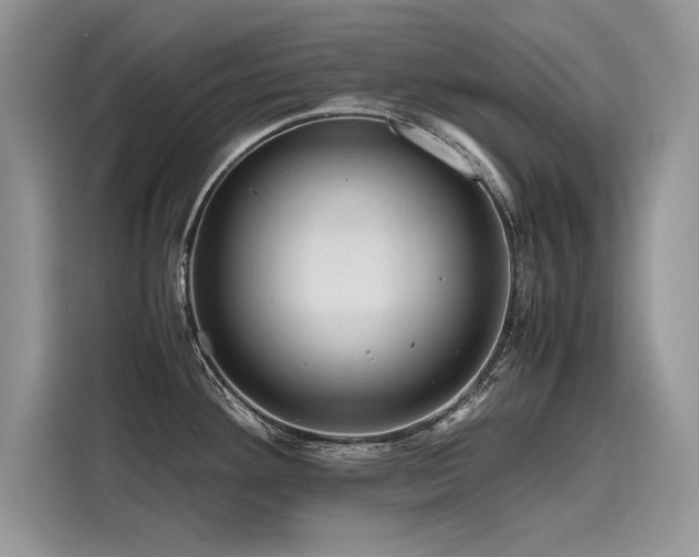 X0000116261292200911301145