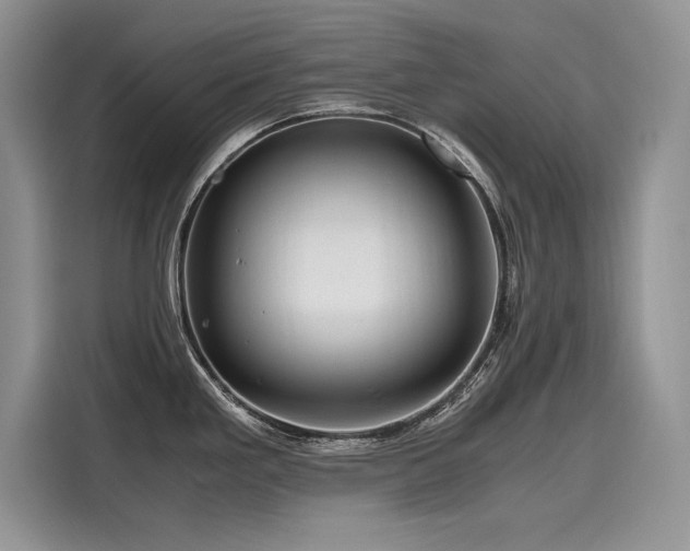 X0000116261293200911301145