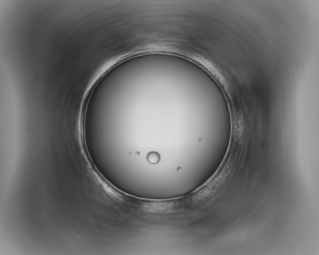 X0000116261294200911301145