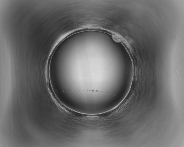 X0000116261295200911301145