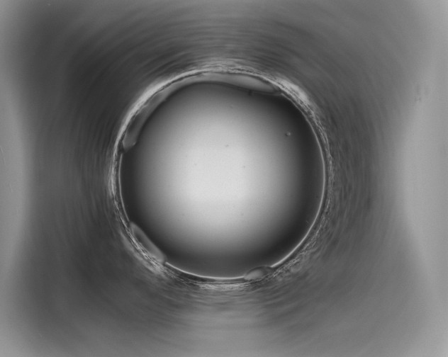 X0000116261296200911301145