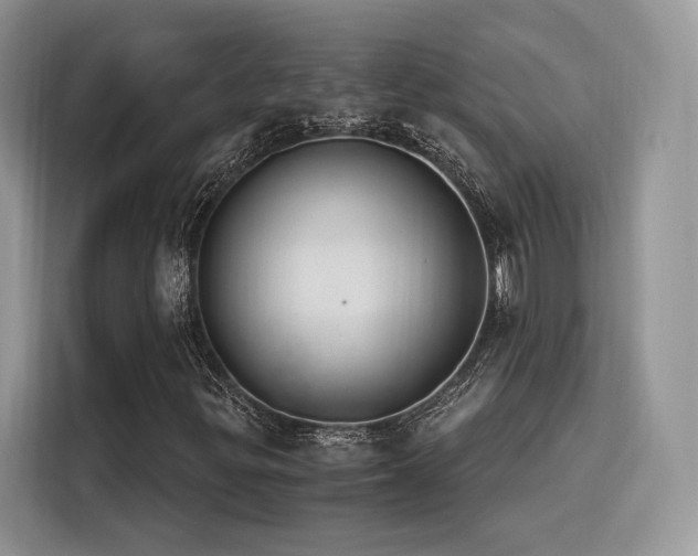 X0000116261299200911301145