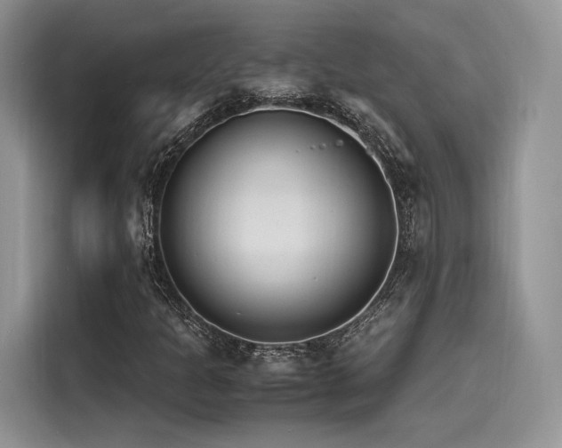 X0000116261301200911301145