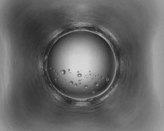 X0000116261305200911301145