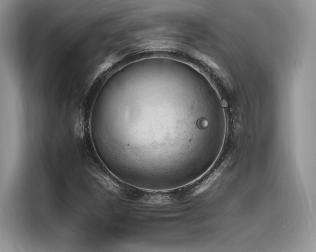 X0000116261306200911301145