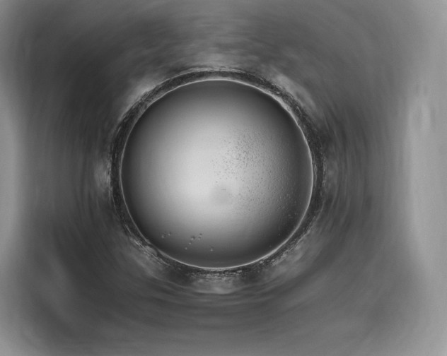 X0000116261307200911301145