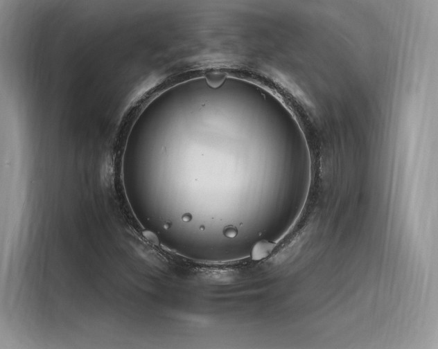 X0000116261309200911301145