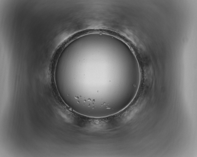 X0000116261311200911301145