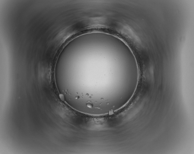 X0000116261313200911301145