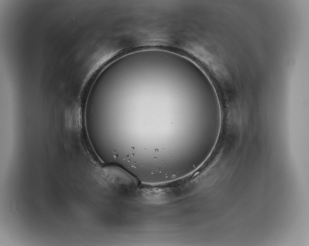 X0000116261317200911301145