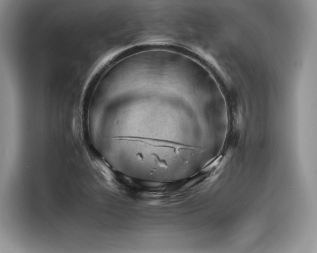 X0000116261319200911301145