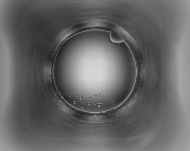 X0000116261321200911301145