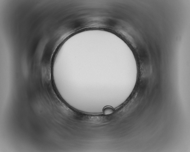 X0000116261322200911301145