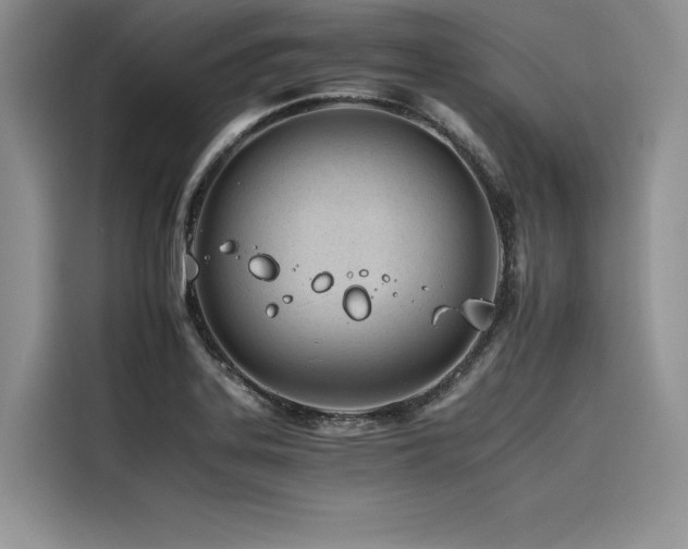 X0000116261323200911301145