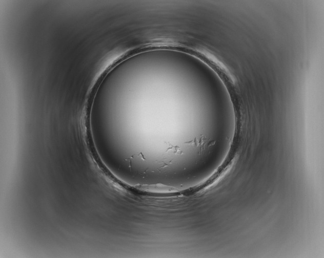 X0000116261325200911301145