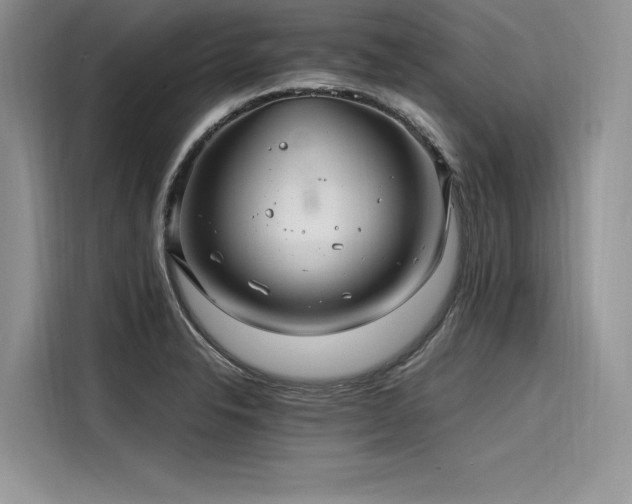 X0000116261326200911301145