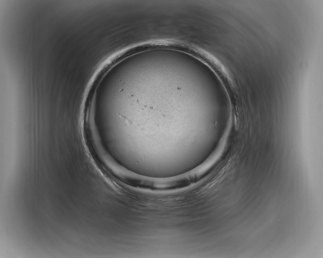 X0000116261327200911301145