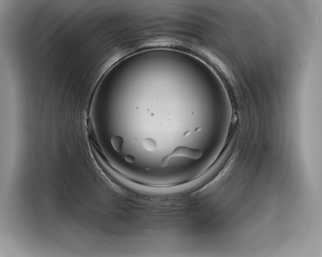 X0000116261329200911301145