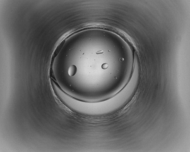 X0000116261330200911301145