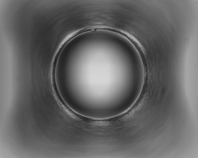 X0000116261333200911301145