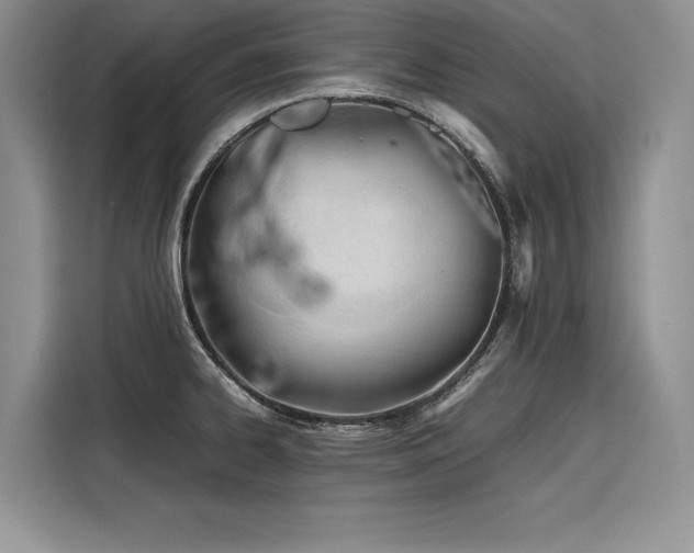 X0000116261334200911301145