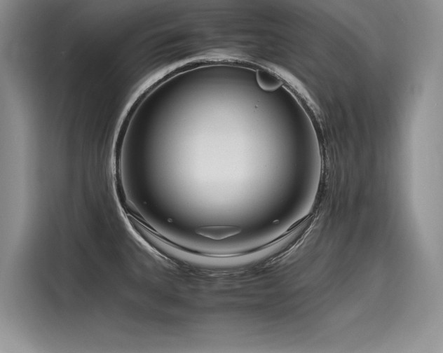 X0000116261335200911301145