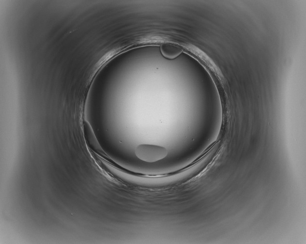 X0000116261337200911301145
