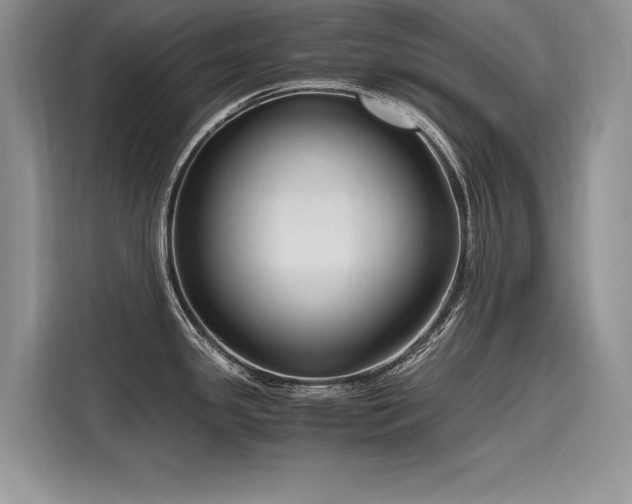 X0000116261341200911301145