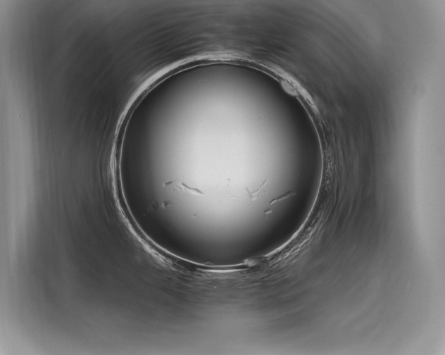 X0000116261343200911301145