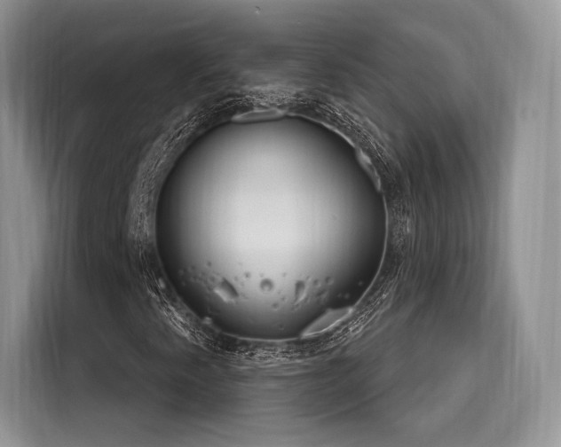 X0000116261345200911301145
