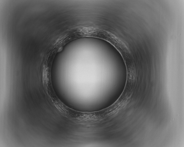 X0000116261346200911301145