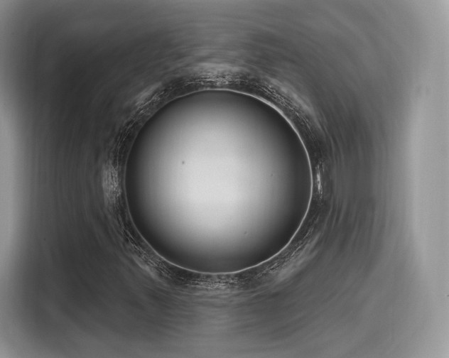 X0000116261347200911301145