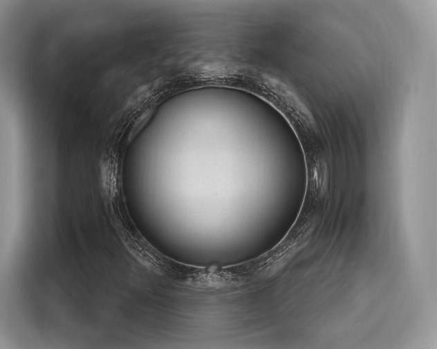 X0000116261348200911301145