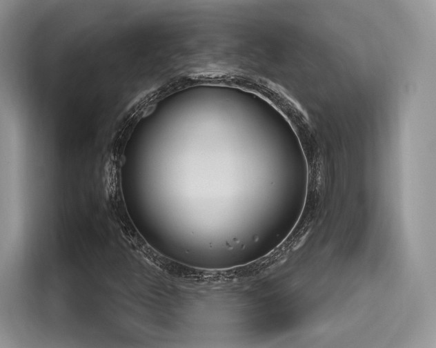 X0000116261350200911301145