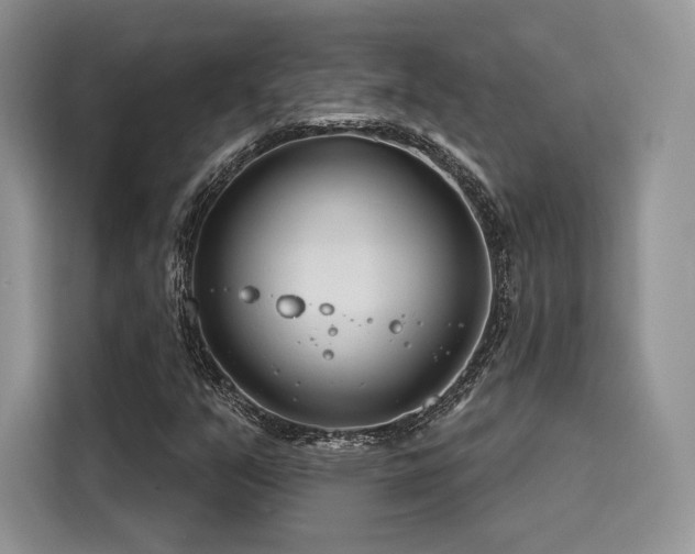 X0000116261351200911301145