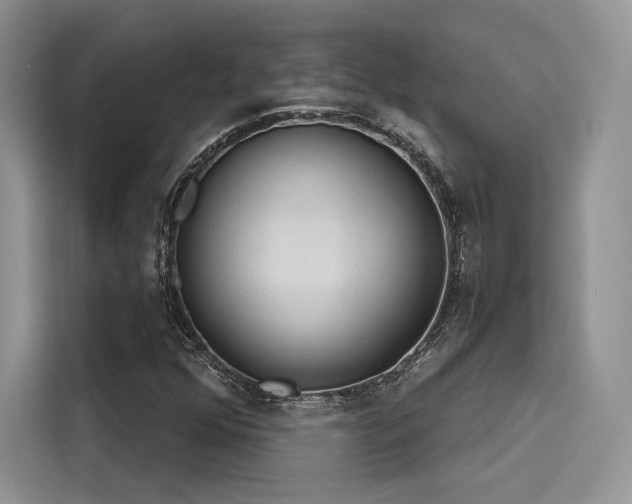 X0000116261352200911301145