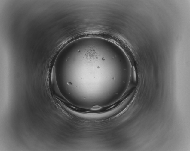 X0000116261353200911301145