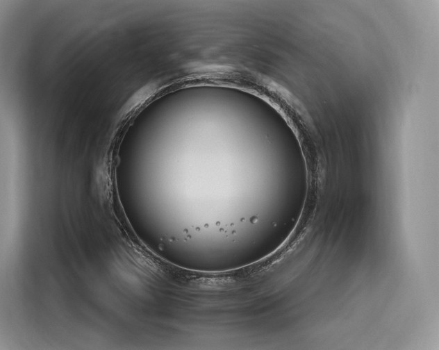 X0000116261354200911301145