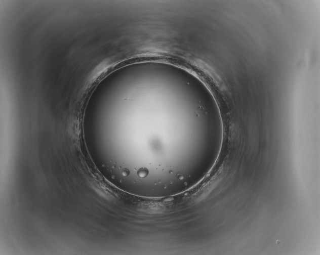 X0000116261355200911301145