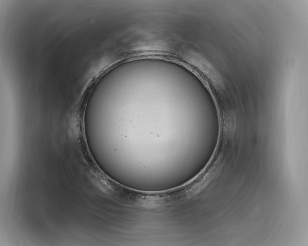 X0000116261357200911301145